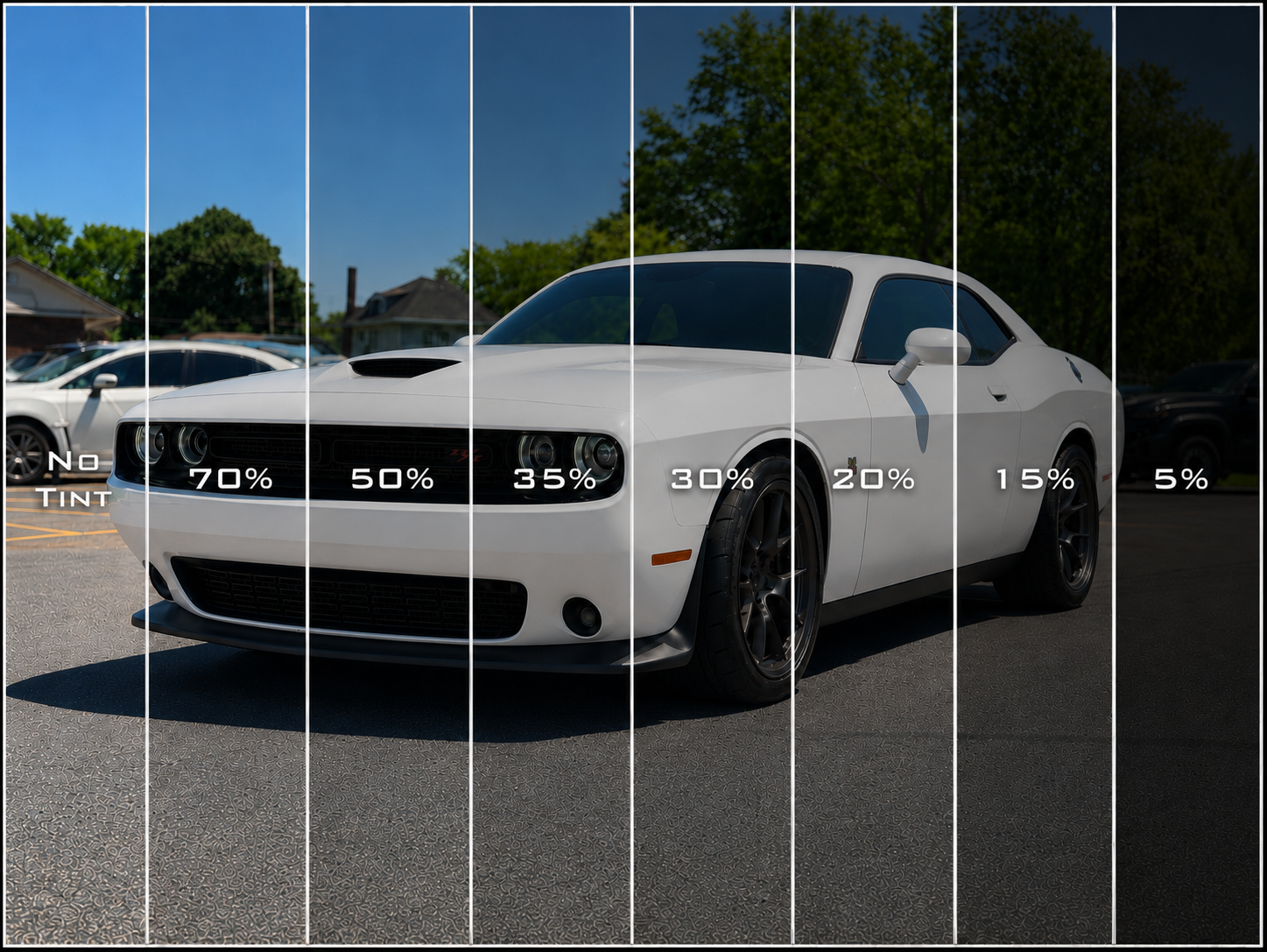 Window tint percentage chart